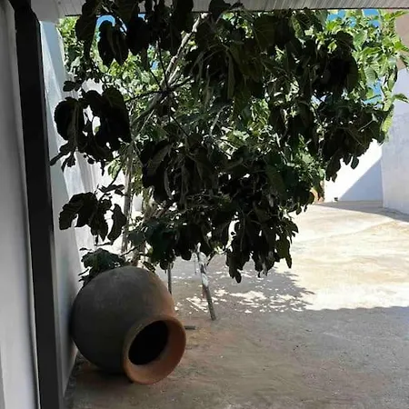 Agradable Casa Con Chimenea Interior Y Barbacoa. Vila Graja de Iniesta Exterior foto
